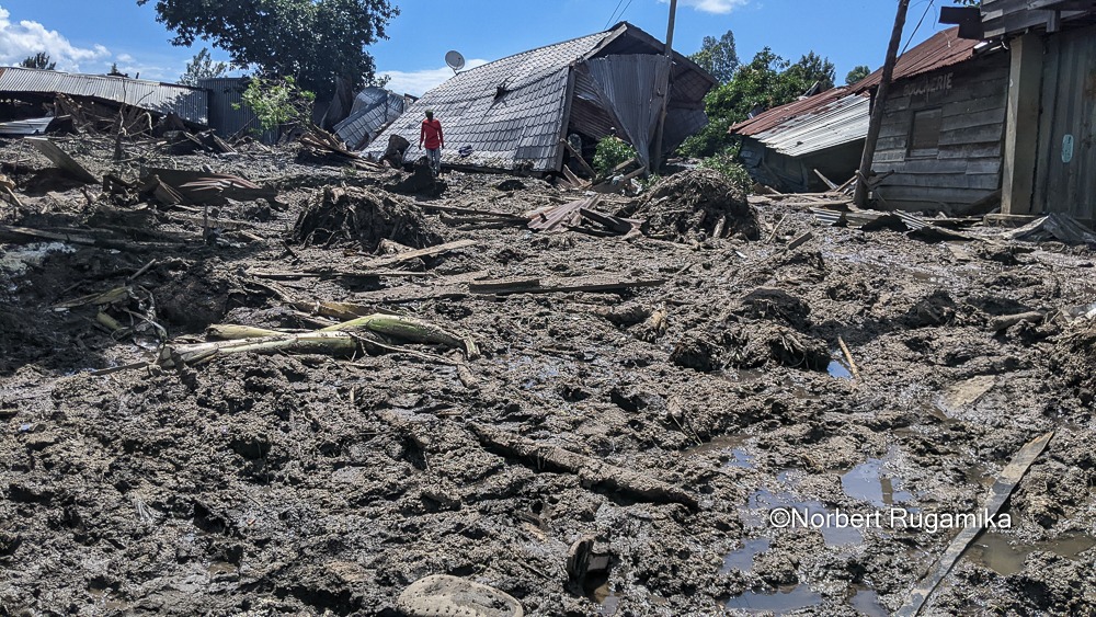 Article : Drame à Kalehe : La lutte contre la déforestation devrait être une urgence